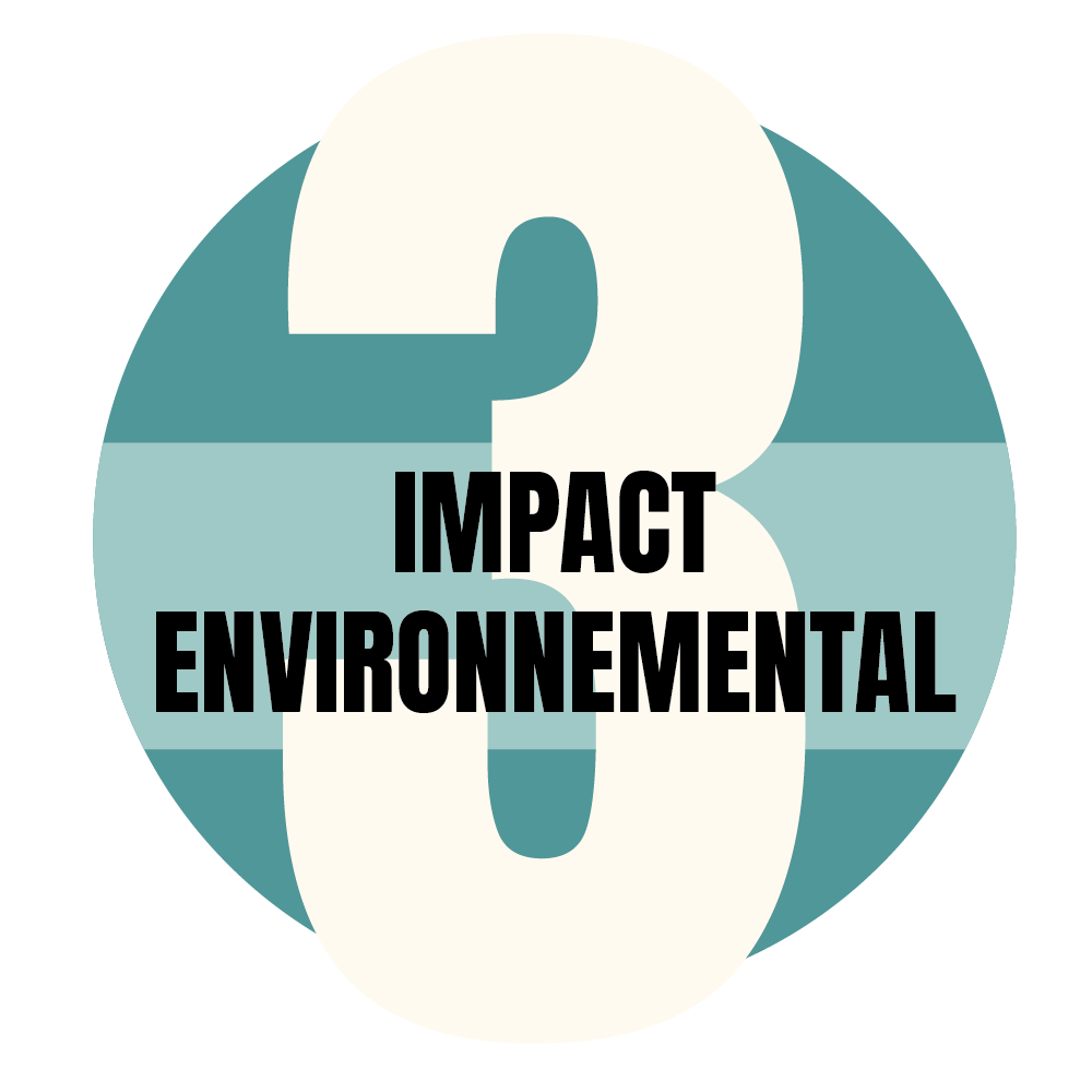 Filières durables en Afrique - impact environnemental