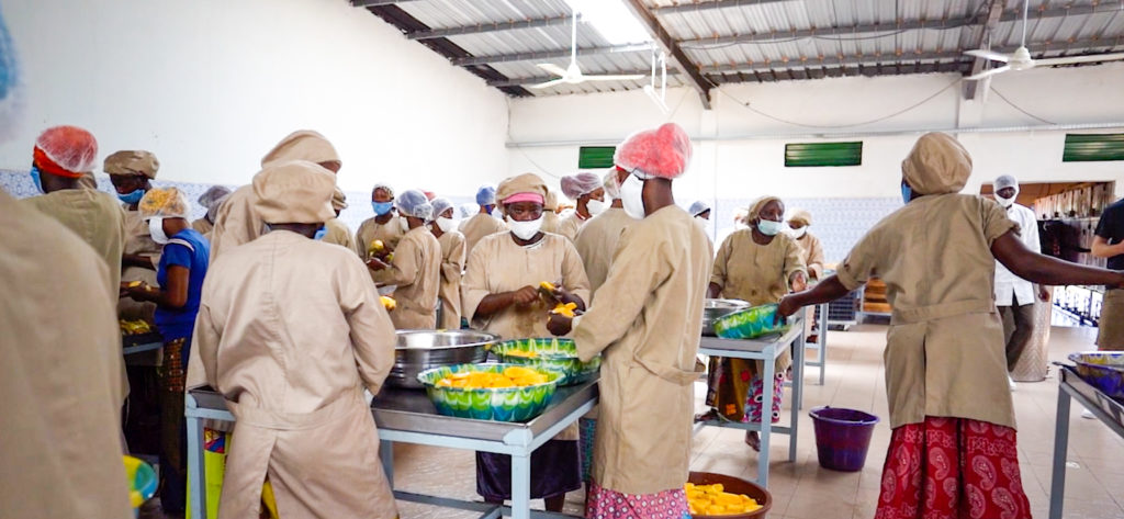 Workers of our sustainable agricultural chain in Burkina Faso