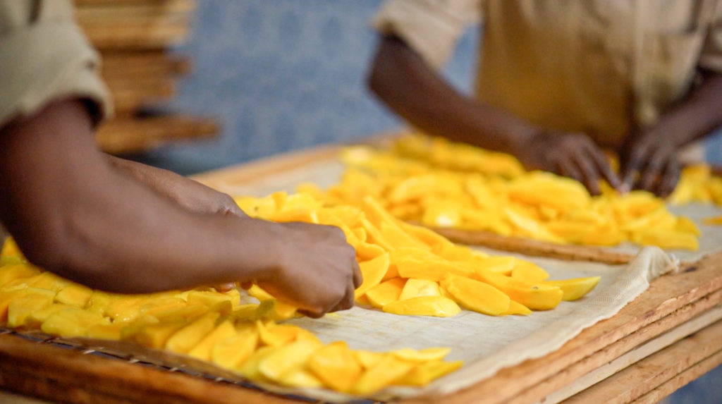 Filière durable de mangues au Burkina Faso