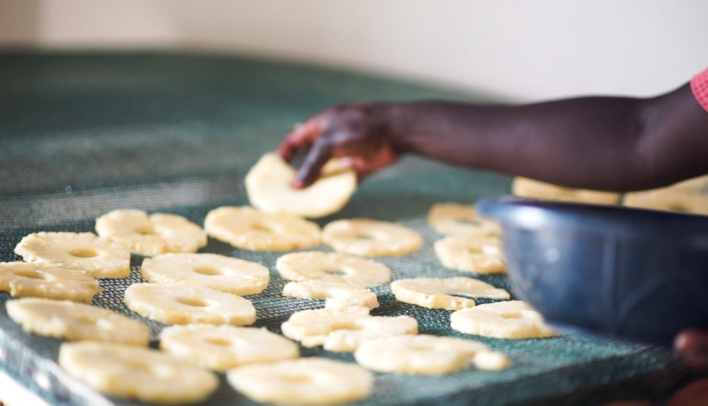 Sustainable agricultural chain in Uganda