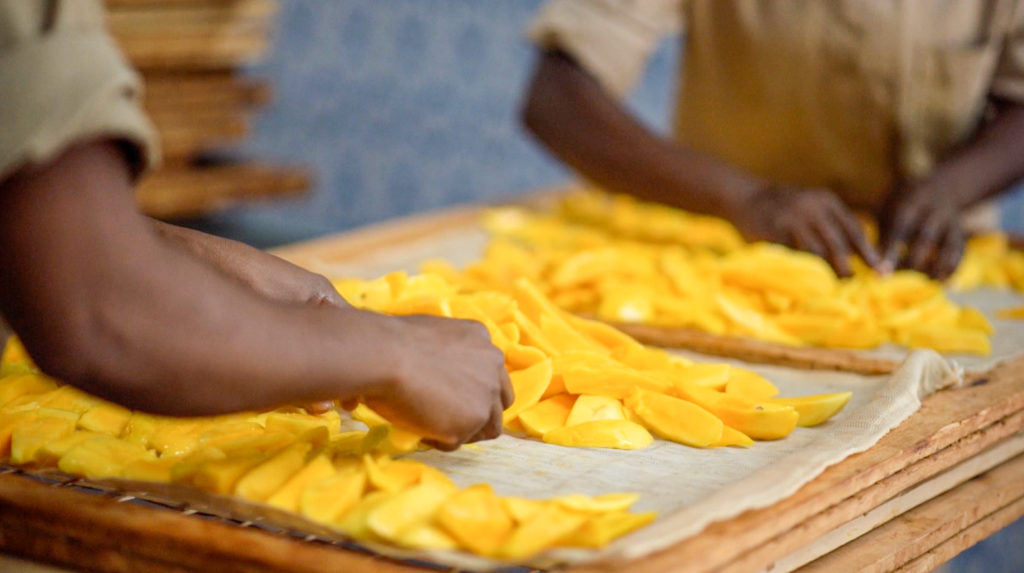 Mango sustainable agricultural chain in Burkina Faso