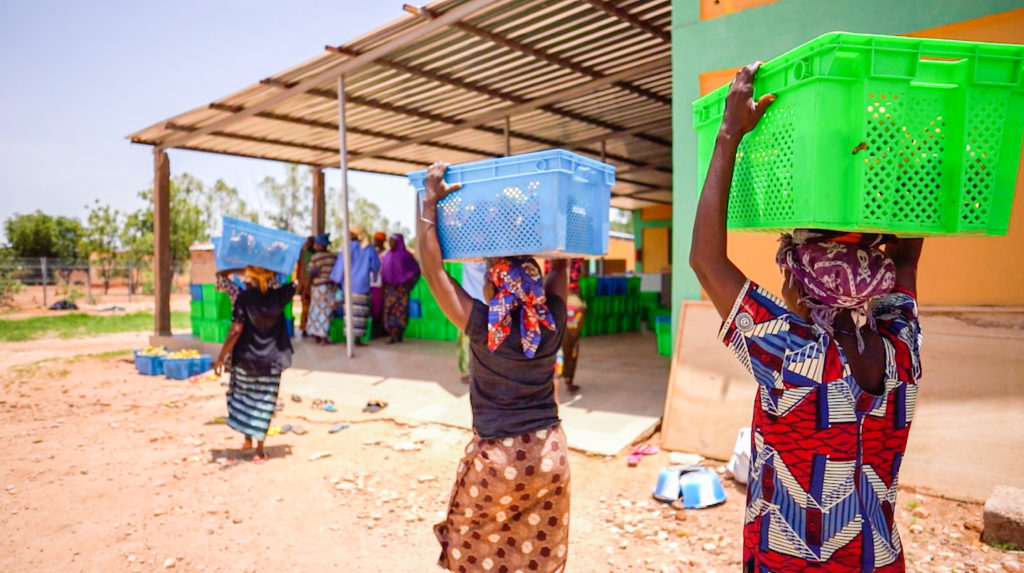 Sustainable agricultural chain in Burkina Faso