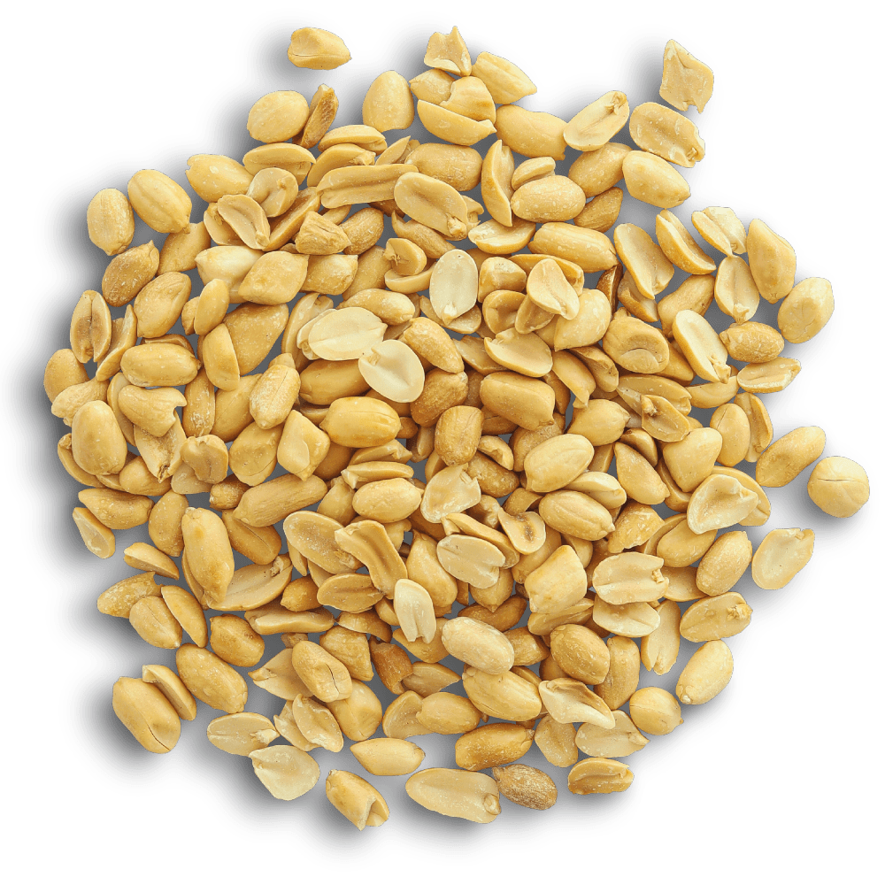 Cacahuètes grillées non salées bio
